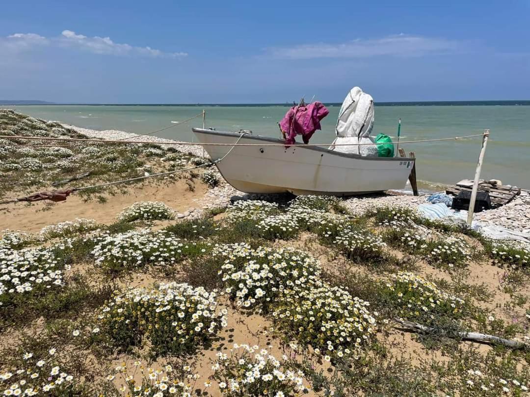Hébergement de vacances La Casa Di Stefania Loft Pollutri