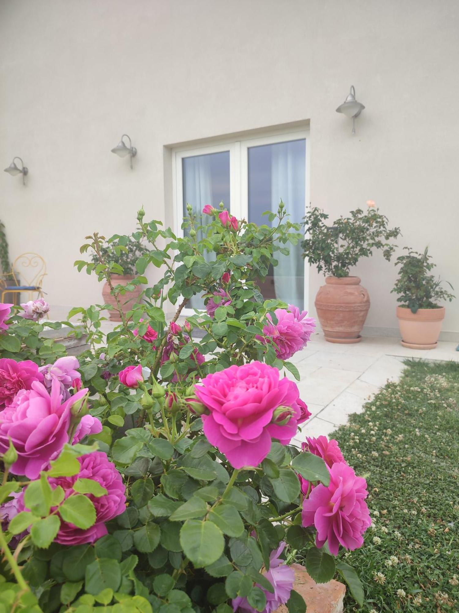 La Casa Di Stefania Loft Holiday home *