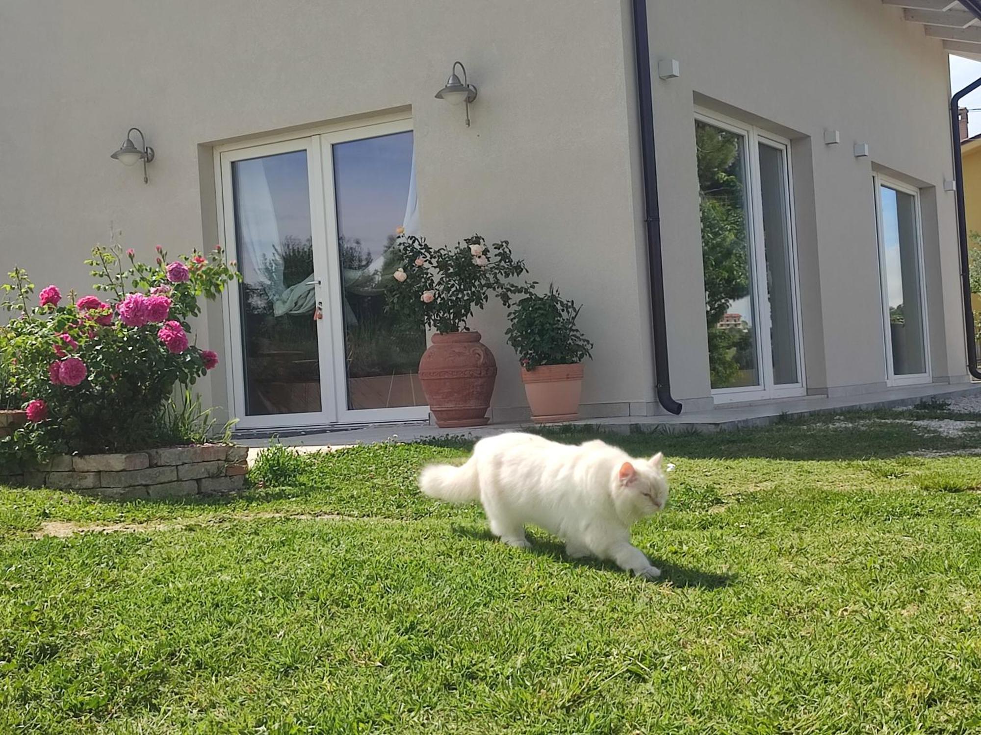 La Casa Di Stefania Loft Holiday home